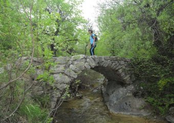 https://www.se-balader.fr/balade/laragne-monteglin-les-gorges-du-riou-