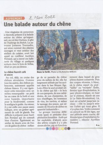 balade autour du chêne balade autour du chêne