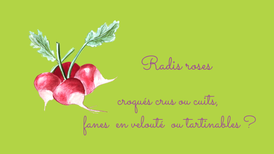 les radis roses les radis roses