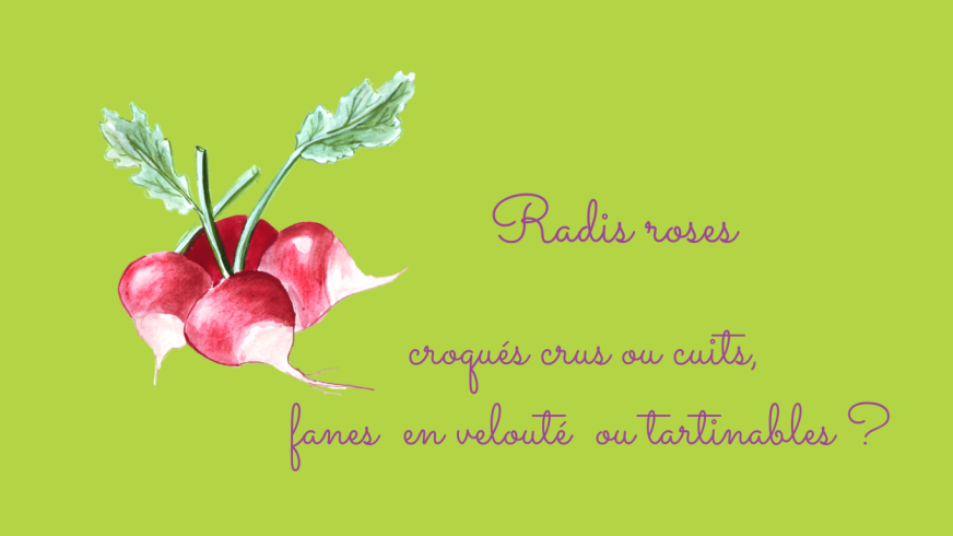 les radis roses