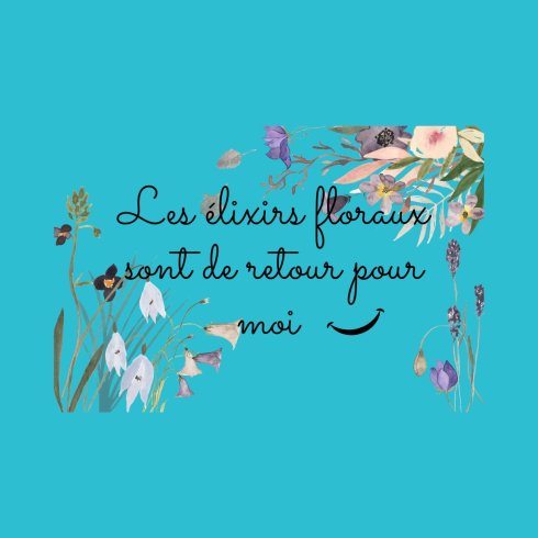 Les élixirs floraux Les élixirs floraux