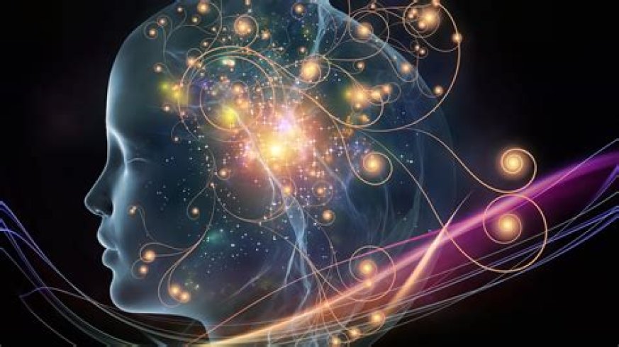 ici.radio-canada.ca/nouvelle/1152754/conscience-humaine-cerveau-modeles-coordination-signaux